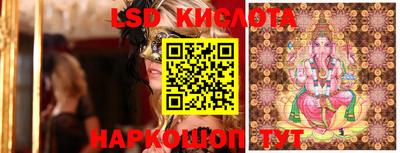 ГАЛЛЮЦИНОГЕННЫЕ ГРИБЫ Новозыбков