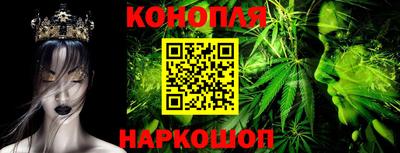 ГАЛЛЮЦИНОГЕННЫЕ ГРИБЫ Новозыбков