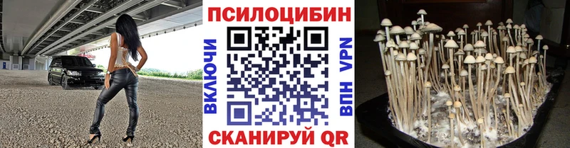 Псилоцибиновые грибы ЛСД Вологда
