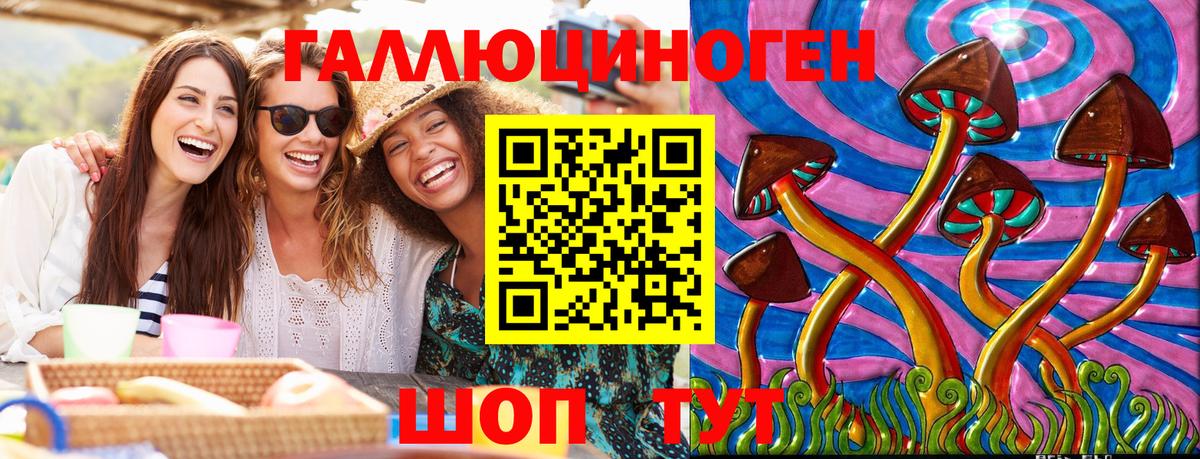 Галлюциногенные грибы GOLDEN TEACHER  Псилоцибиновые грибы Cubensis  Вход с VPN  Вологда 